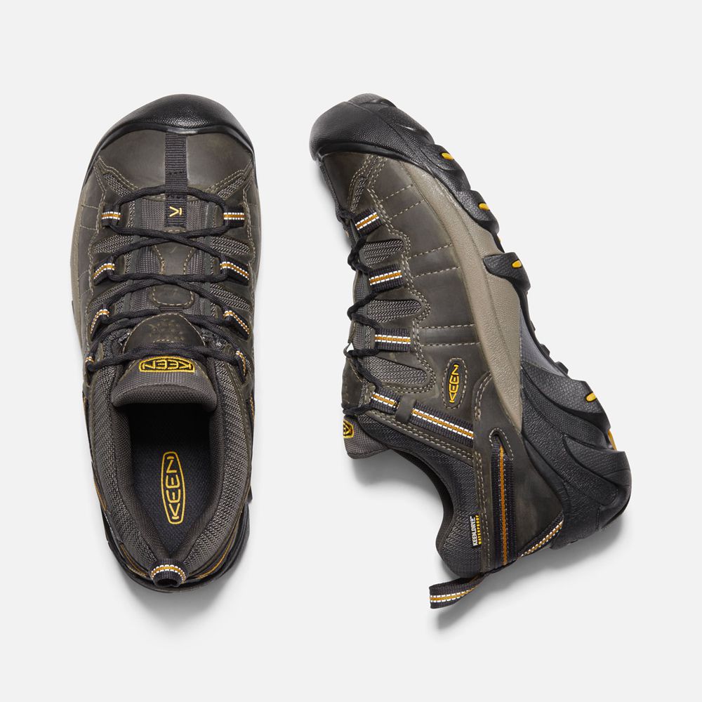 Zapatos de Seguridad Keen Mexico Negros Marrom - Hombre Targhee Ii Waterproof - TA3608275